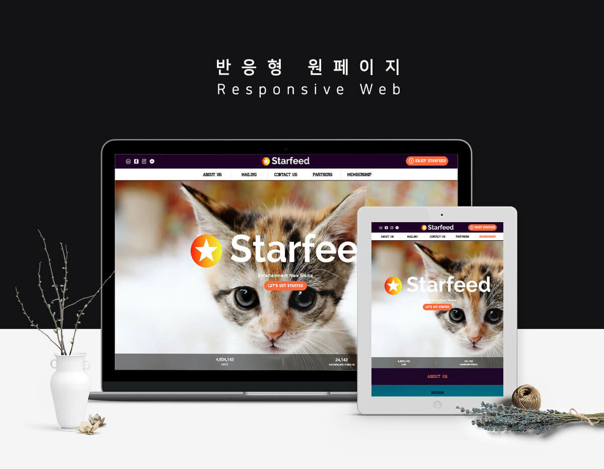 Starfeed 랜딩페이지